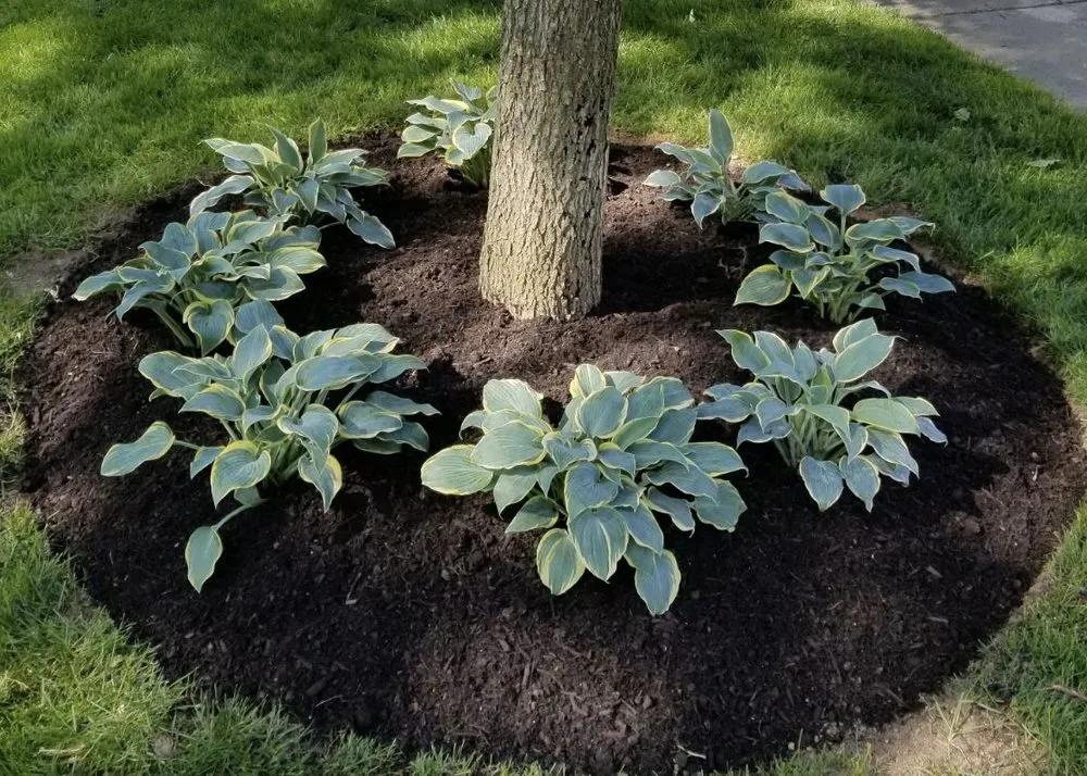 Reliable outdoor landscaping for outdoor upgrades across Chicago, IL - Viland Landscaping