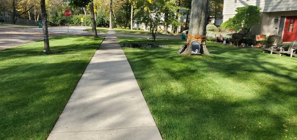 Local outdoor landscaping in Chicago, IL - Viland Landscaping