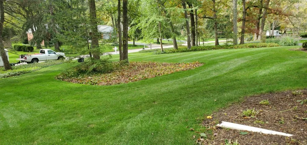 Top-rated landscaping services near you across Chicago, IL - Viland Landscaping