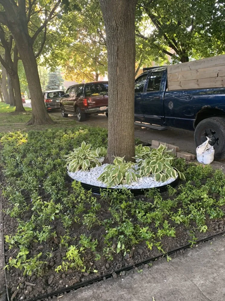 Trusted outdoor landscaping for residential properties across Chicago, IL - Viland Landscaping