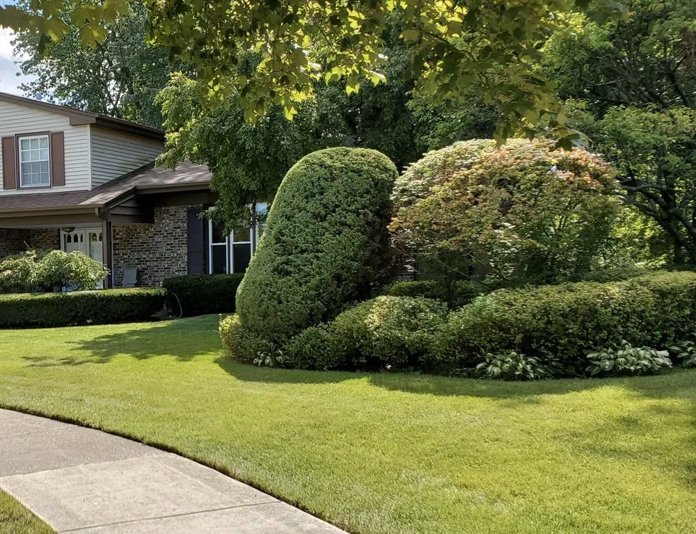 Top-rated garden landscaping experts serving Chicago, IL - Viland Landscaping