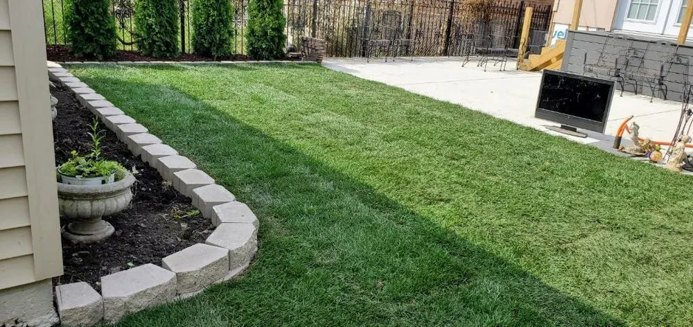 Professional yard cleanup service near you in Chicago, IL by Viland Landscaping