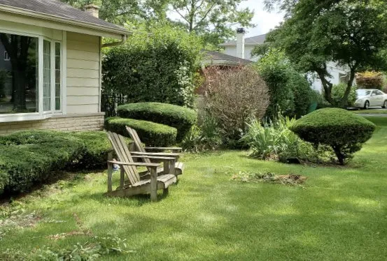 Affordable outdoor landscaping in Chicago, IL by Viland Landscaping