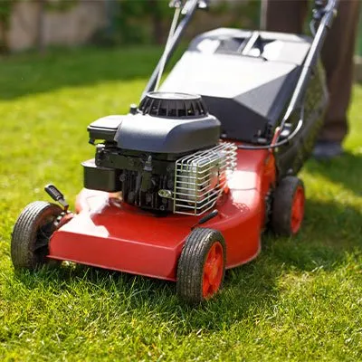Professional yard cleanup service in Chicago, IL - Vilchez Landscaping