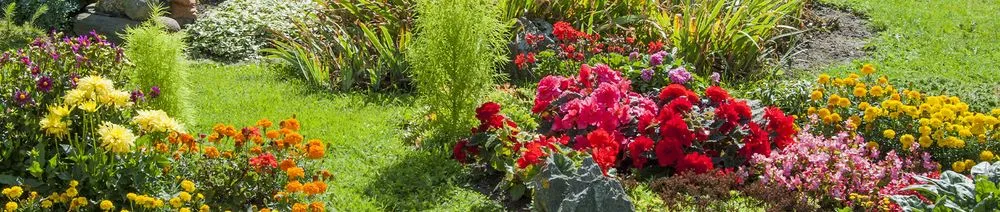 Reliable garden landscaping experts serving Chicago, IL - Vilchez Landscaping