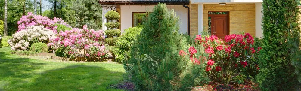 Professional lawn mowing service for homes across Chicago, IL - Vilchez Landscaping