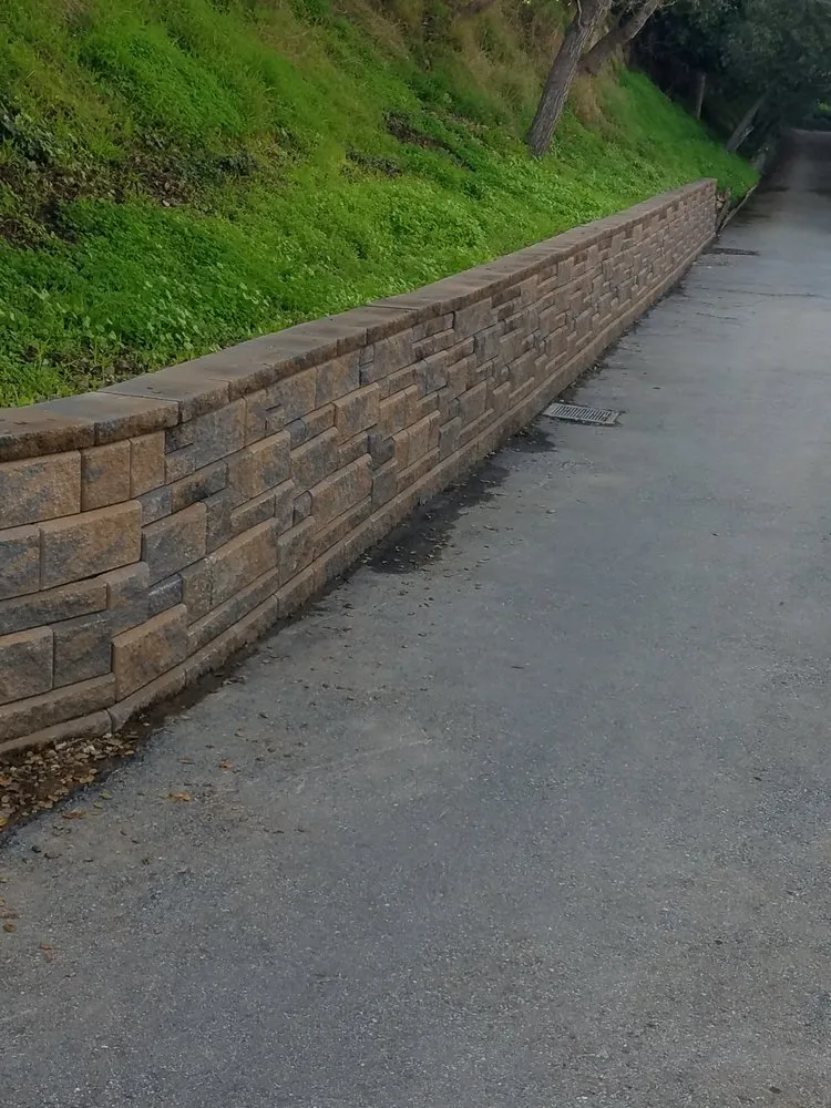 Affordable yard cleanup service experts serving Millbrae, CA - Vilchez Landscaping