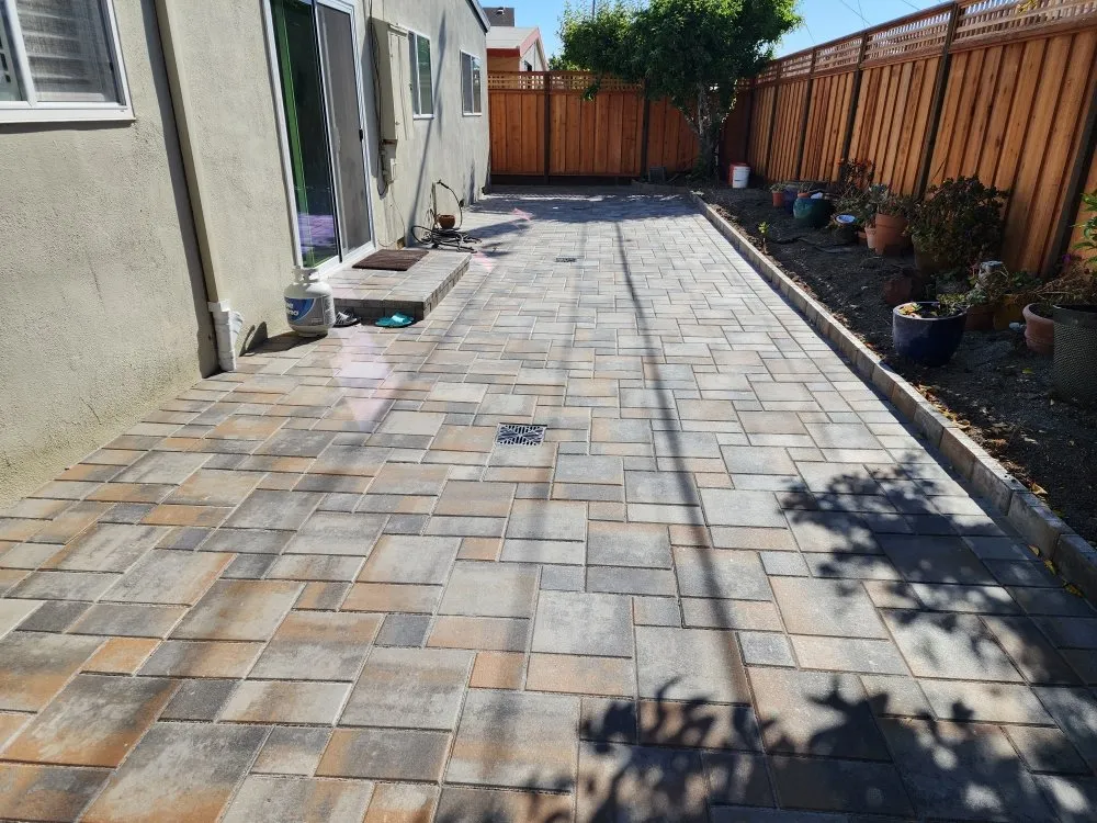 Expert yard cleanup service for year-round maintenance in Millbrae, CA by Vilchez Landscaping