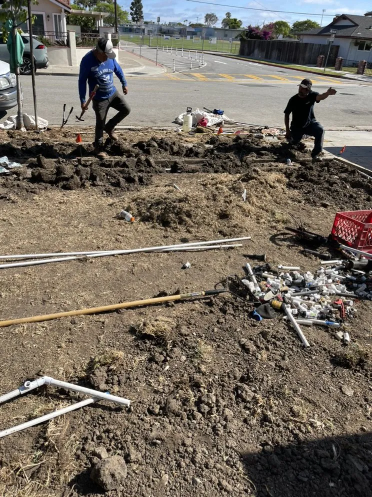 Local yard cleanup service for homes in Costa Mesa, CA by Villa and Son Landscaping