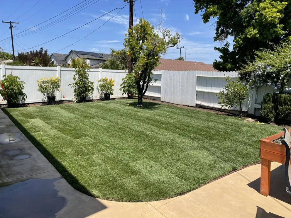 Trusted landscape installation experts serving Costa Mesa, CA - Villa and Son Landscaping