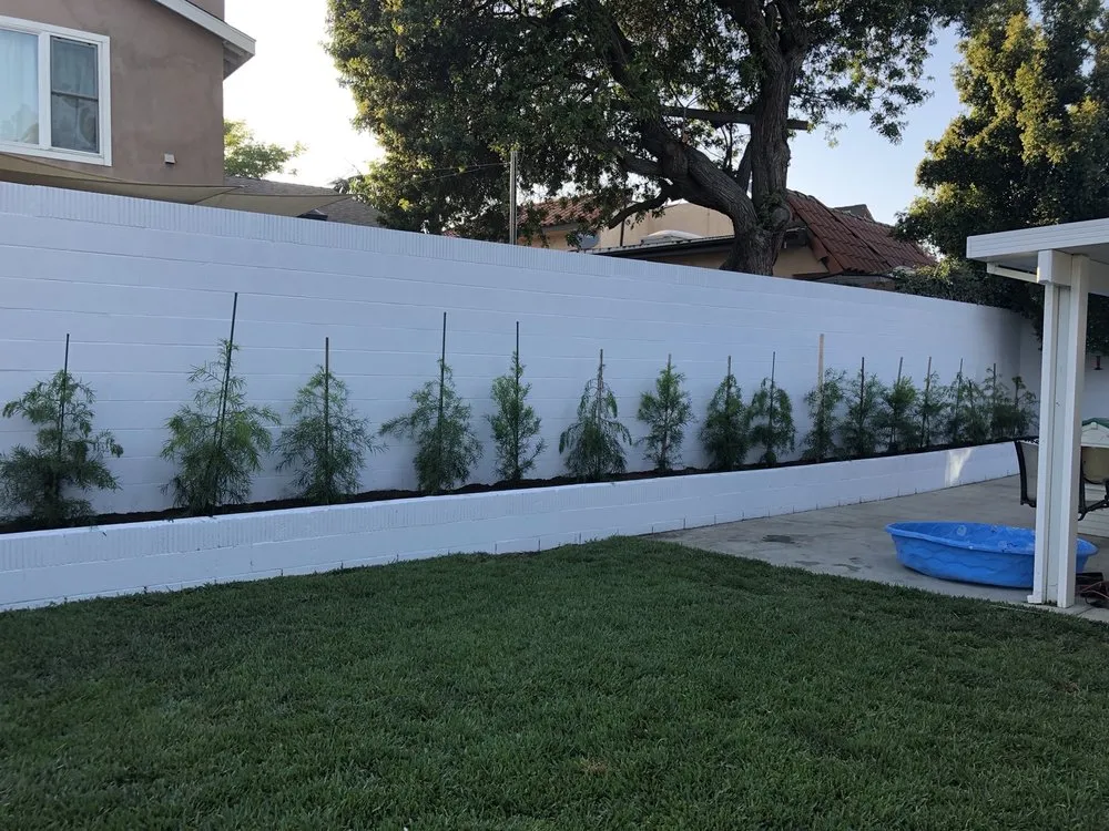 Local landscaping services experts serving Costa Mesa, CA - Villa and Son Landscaping