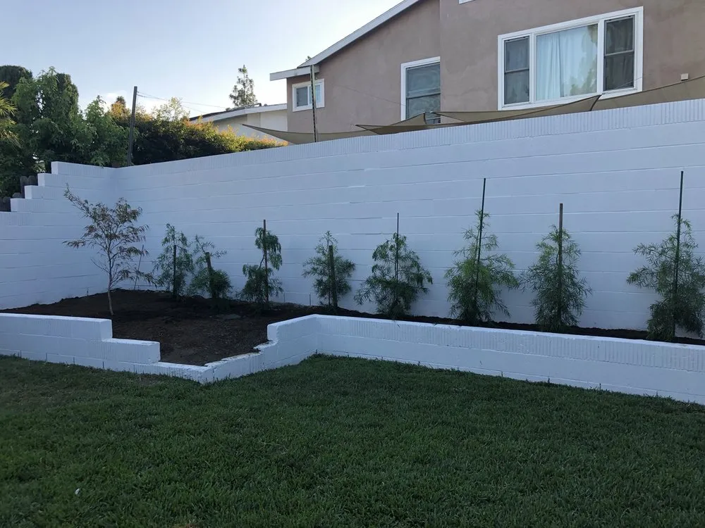 Reliable landscape design for homes in Costa Mesa, CA by Villa and Son Landscaping