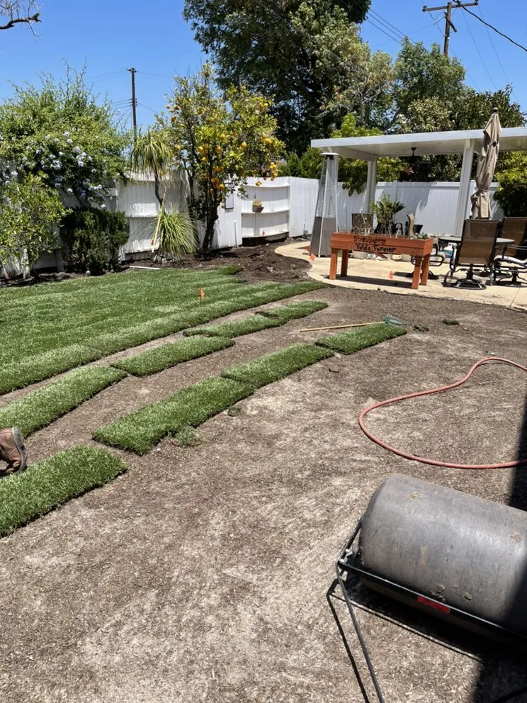 Reliable lawn care service for residential properties across Costa Mesa, CA - Villa and Son Landscaping