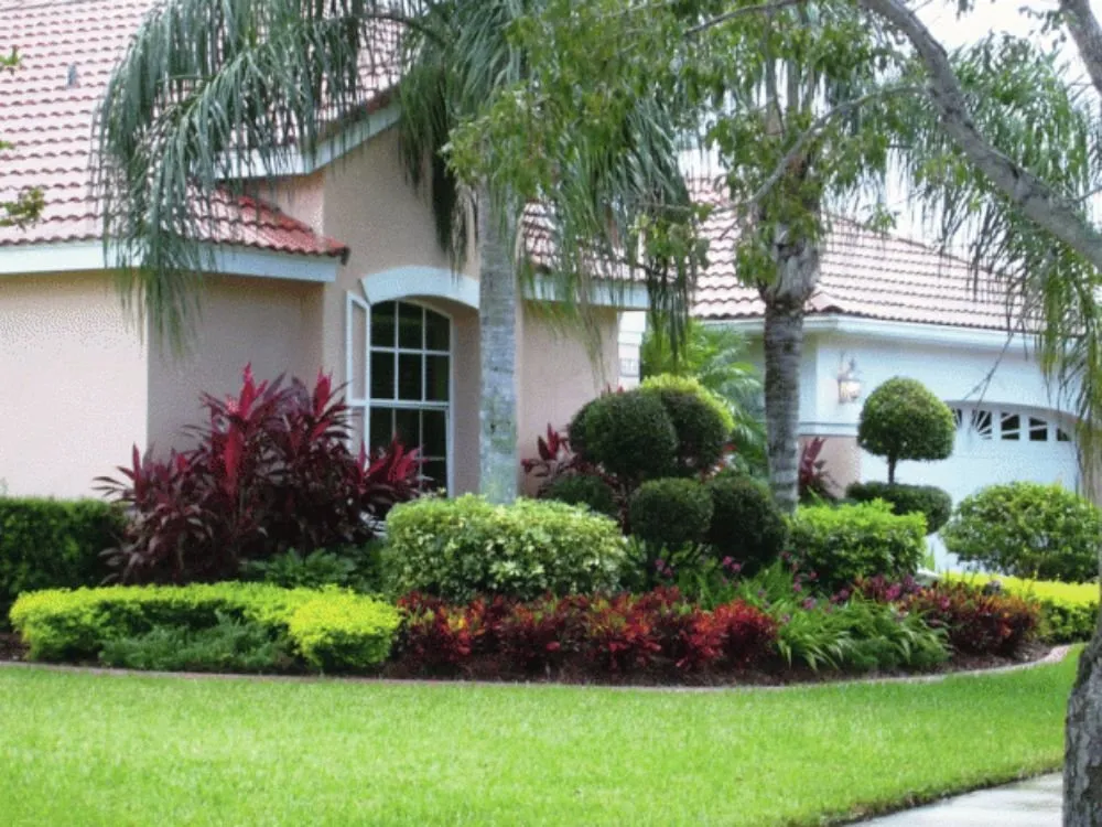 Top-rated yard maintenance in Costa Mesa, CA - Villa and Son Landscaping