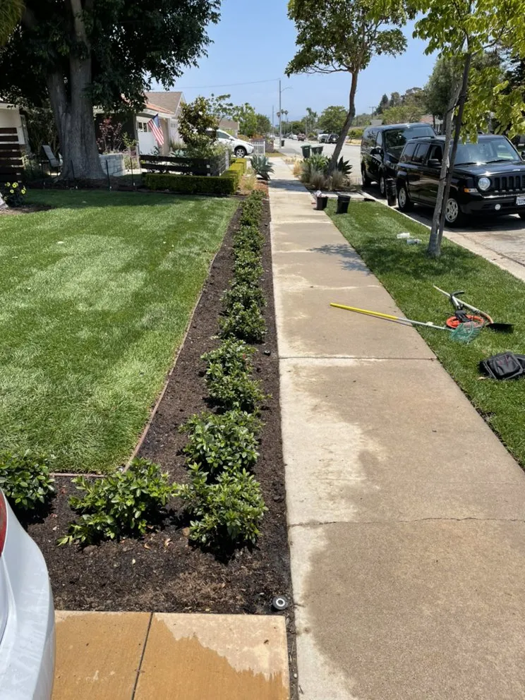 Custom landscaping services in Costa Mesa, CA by Villa and Son Landscaping