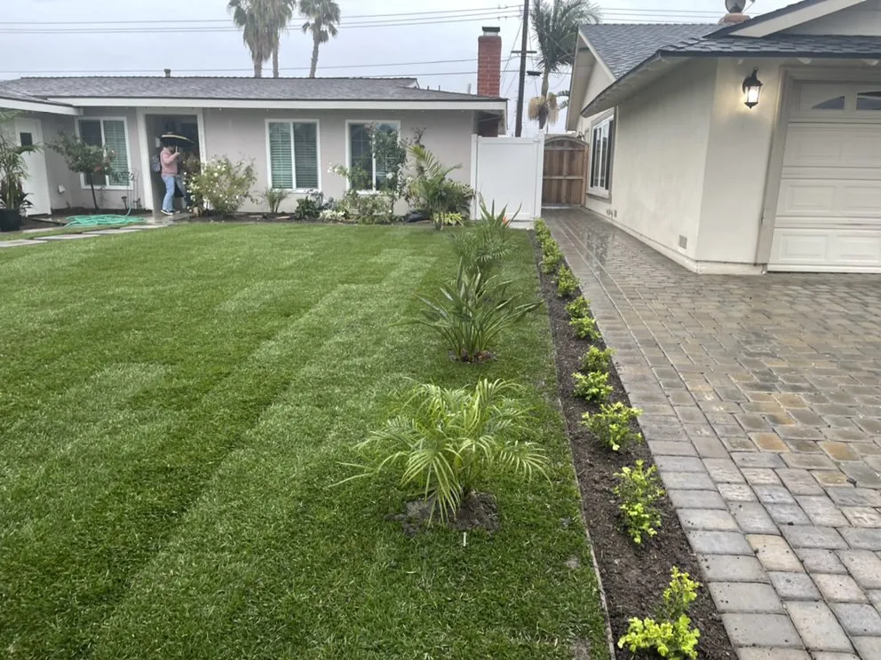 Expert landscaping services near you across Costa Mesa, CA - Villa and Son Landscaping