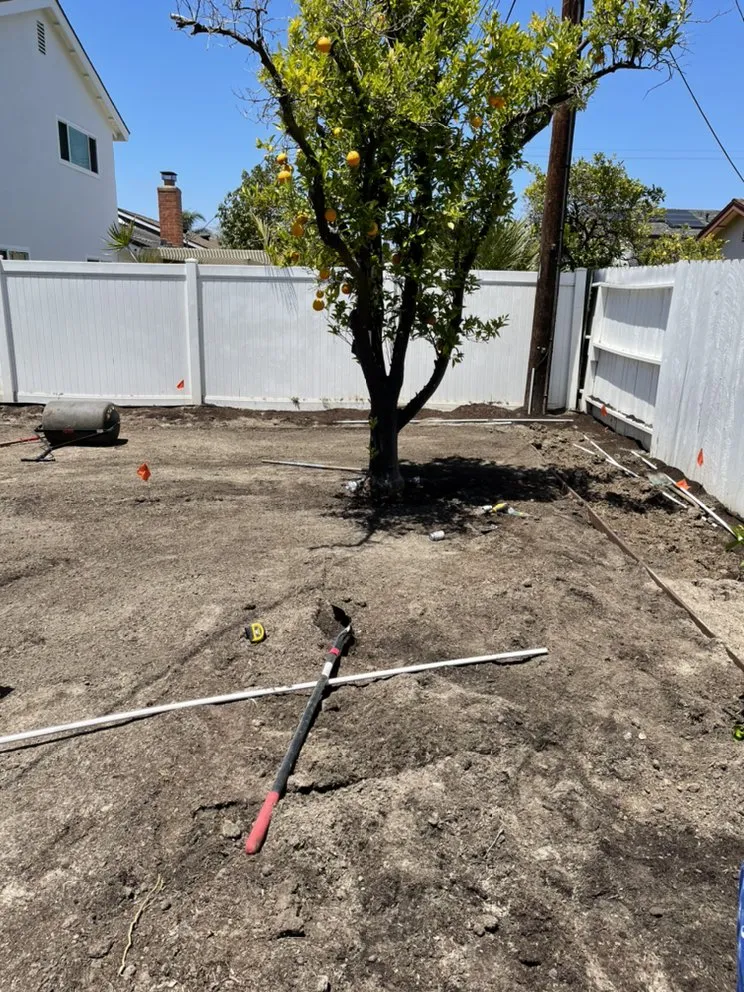 Professional outdoor landscaping in Costa Mesa, CA by Villa and Son Landscaping