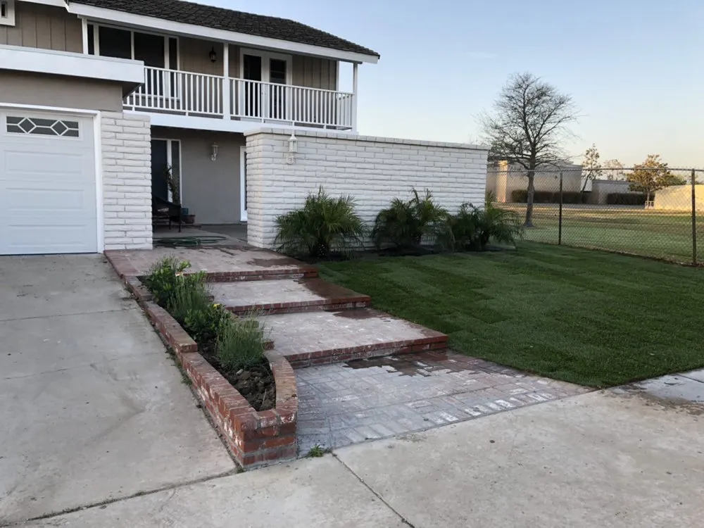 Top-rated yard cleanup service for year-round maintenance in Costa Mesa, CA by Villa and Son Landscaping