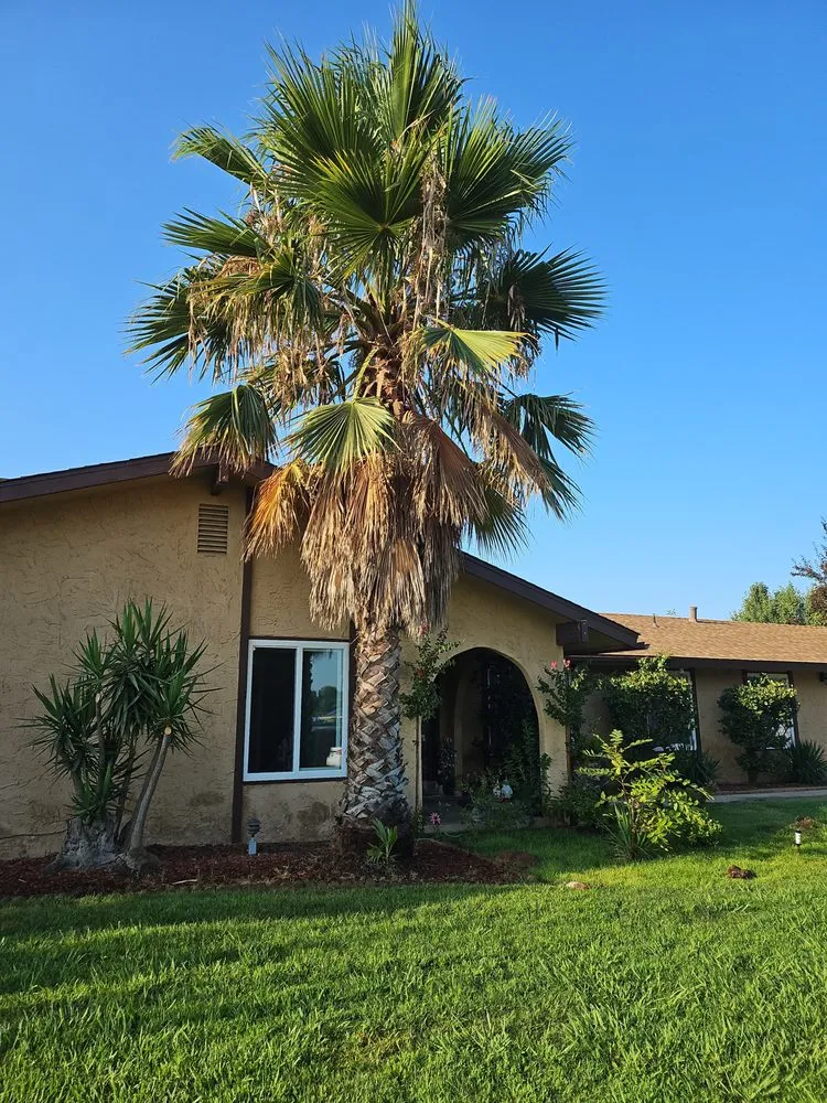 Professional lawn care service in Madera, CA - Villa Garden Service