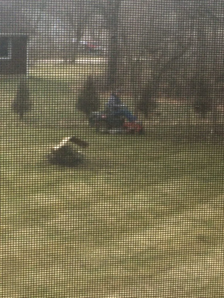 Reliable outdoor landscaping in Westchester, IL by Villa Landscaping