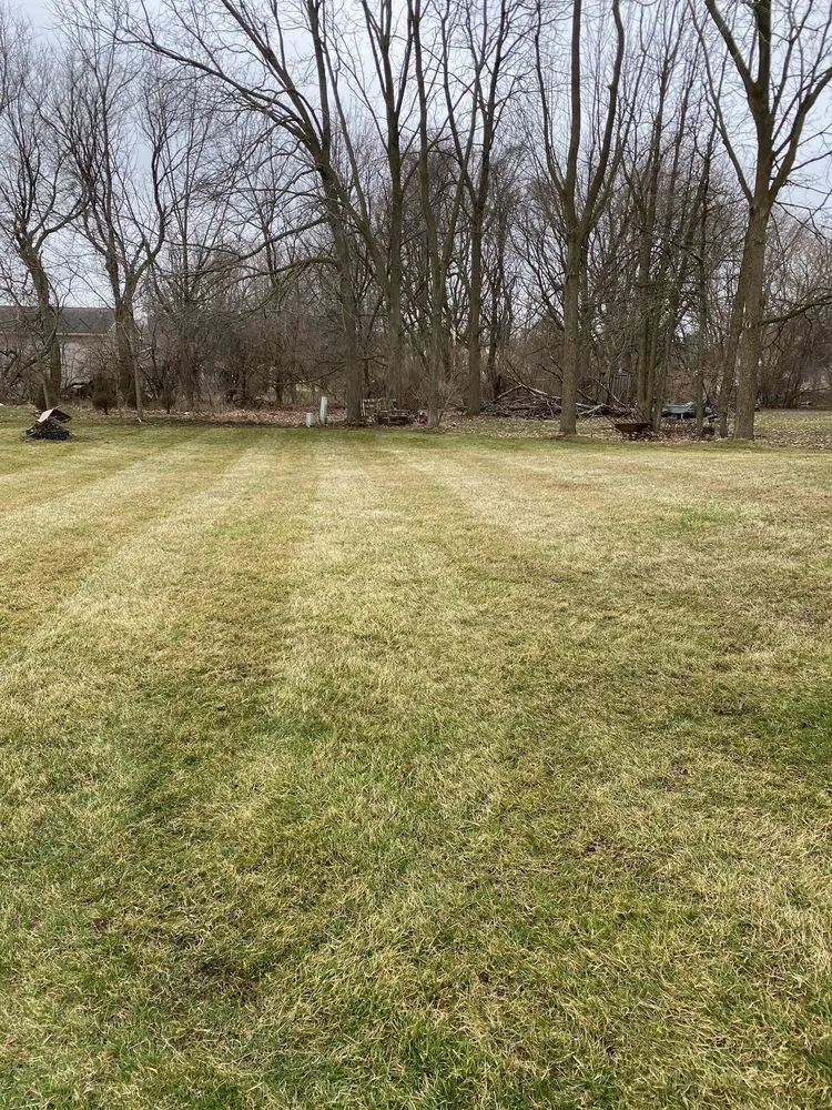 Custom landscape design experts serving Westchester, IL - Villa Landscaping