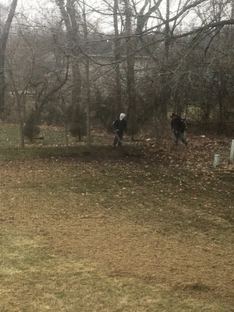 Top-rated yard cleanup service experts serving Westchester, IL - Villa Landscaping