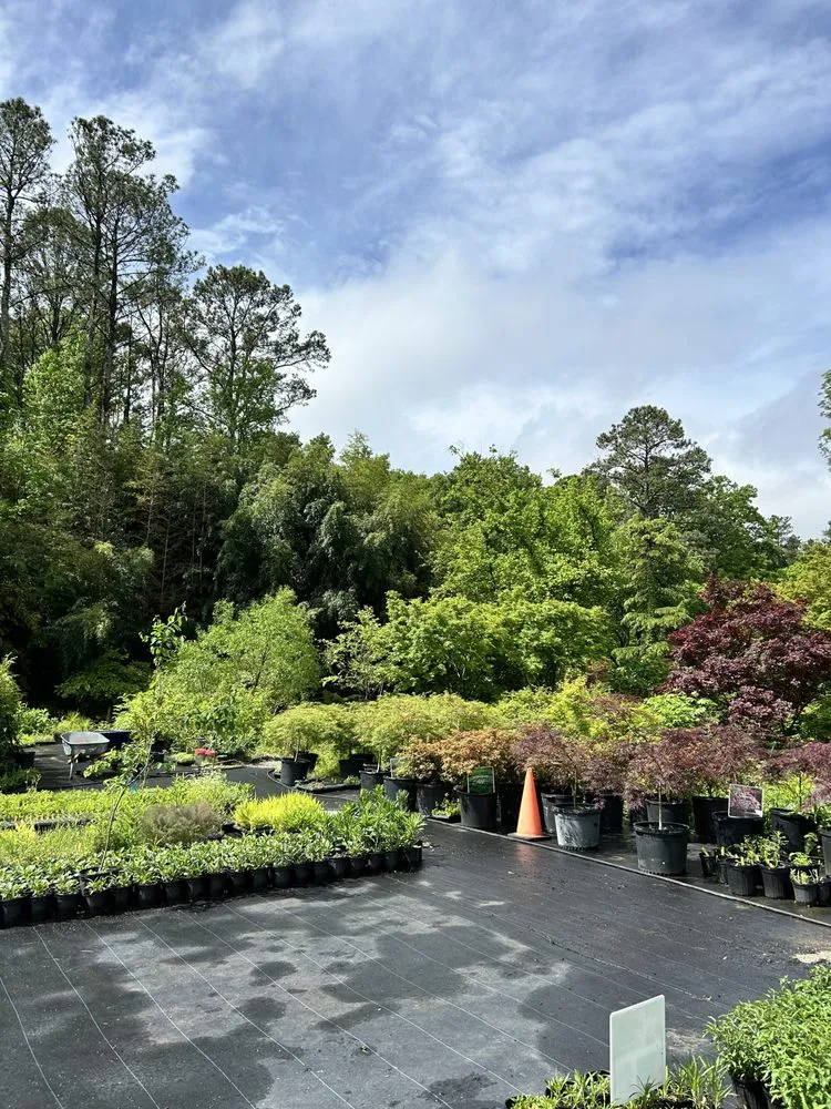 Top-rated yard cleanup service in Calhoun, GA by Villa Landscapings