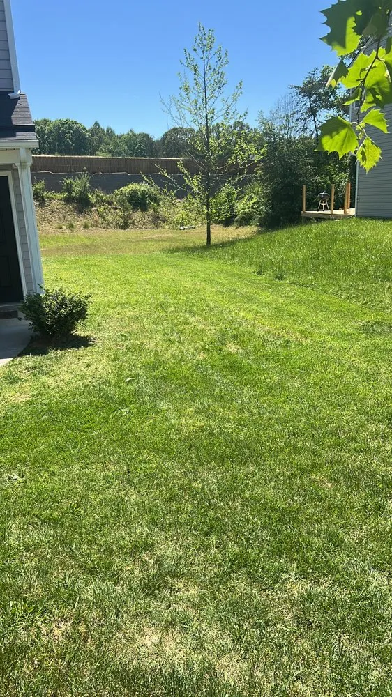 Top-rated lawn care service with custom design across Burlington, NC - Villa Lawncare