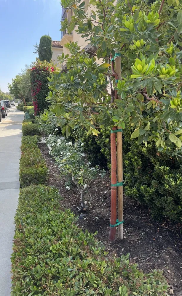 Custom landscape installation in Irvine, CA - Villa Park Landscape