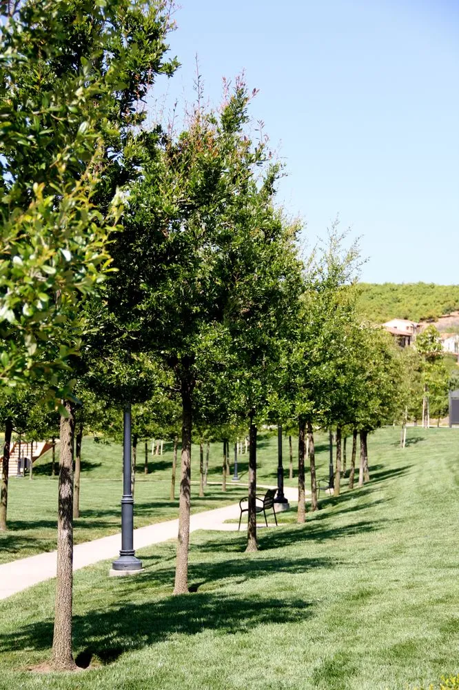 Local garden landscaping near you across Irvine, CA - Villa Park Landscape