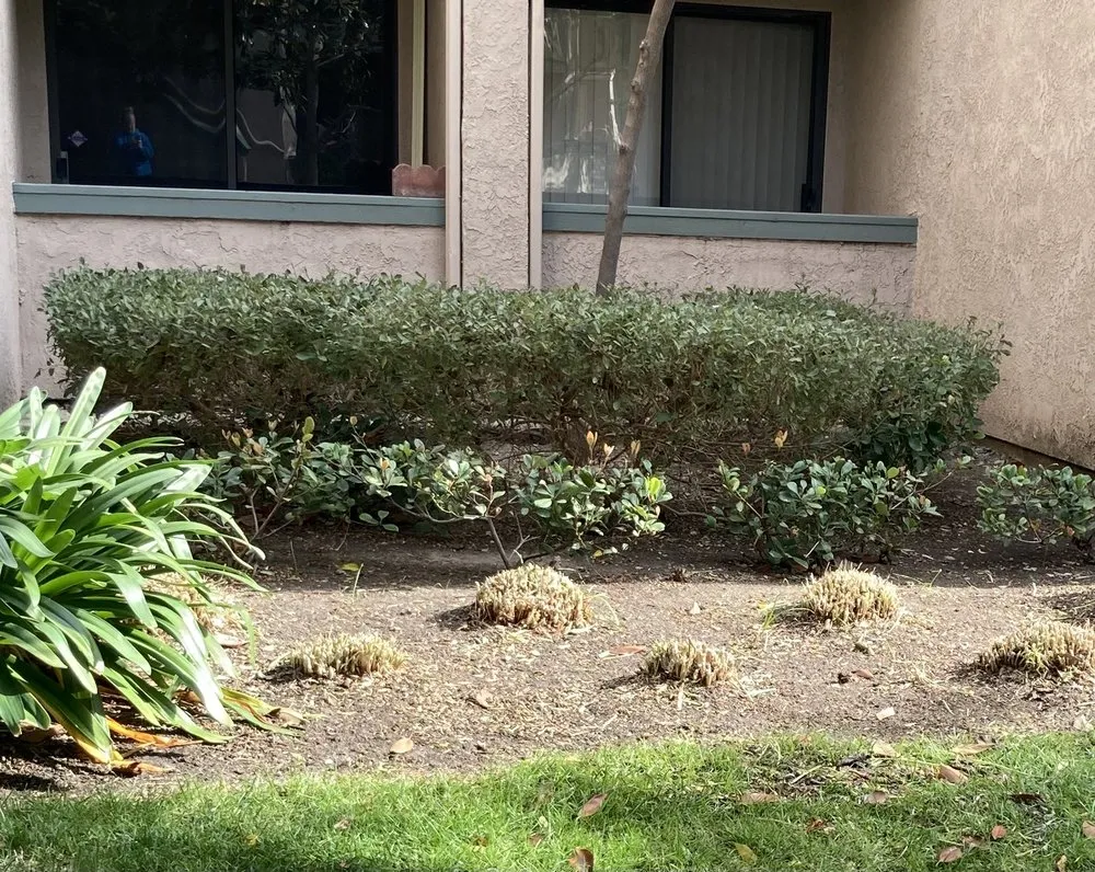 Professional lawn mowing service in Irvine, CA by Villa Park Landscape