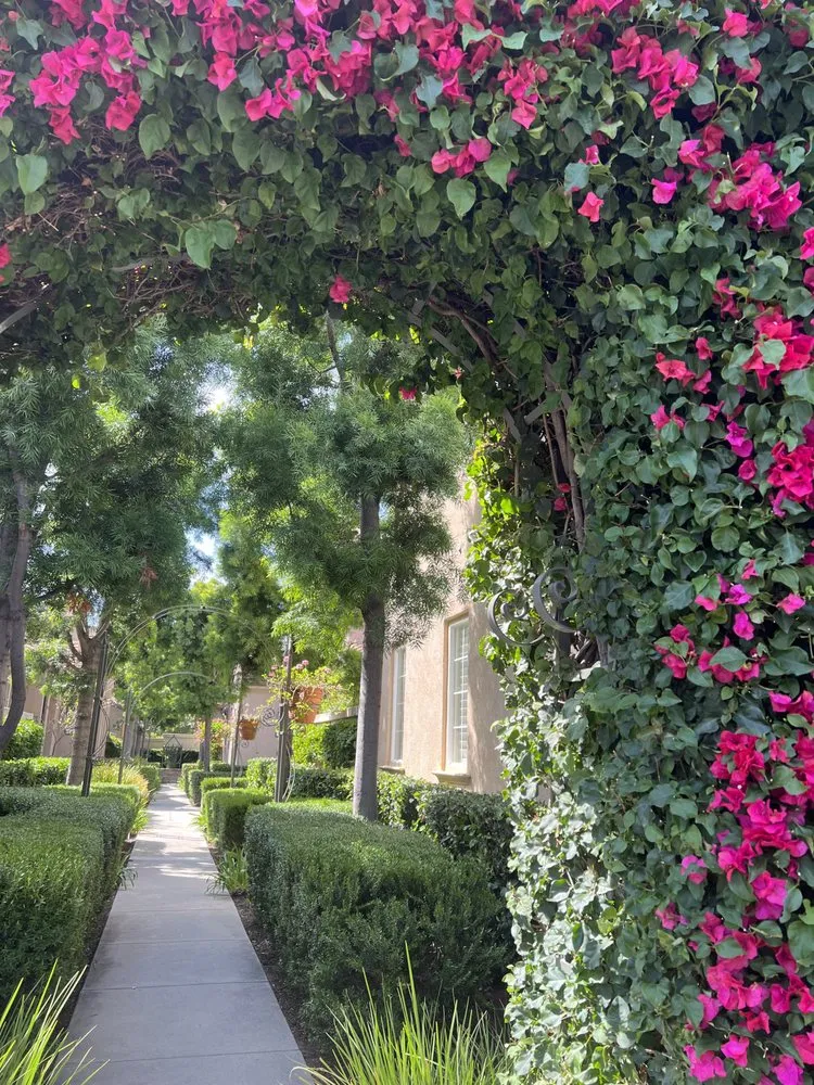 Top-rated outdoor landscaping in Irvine, CA - Villa Park Landscape