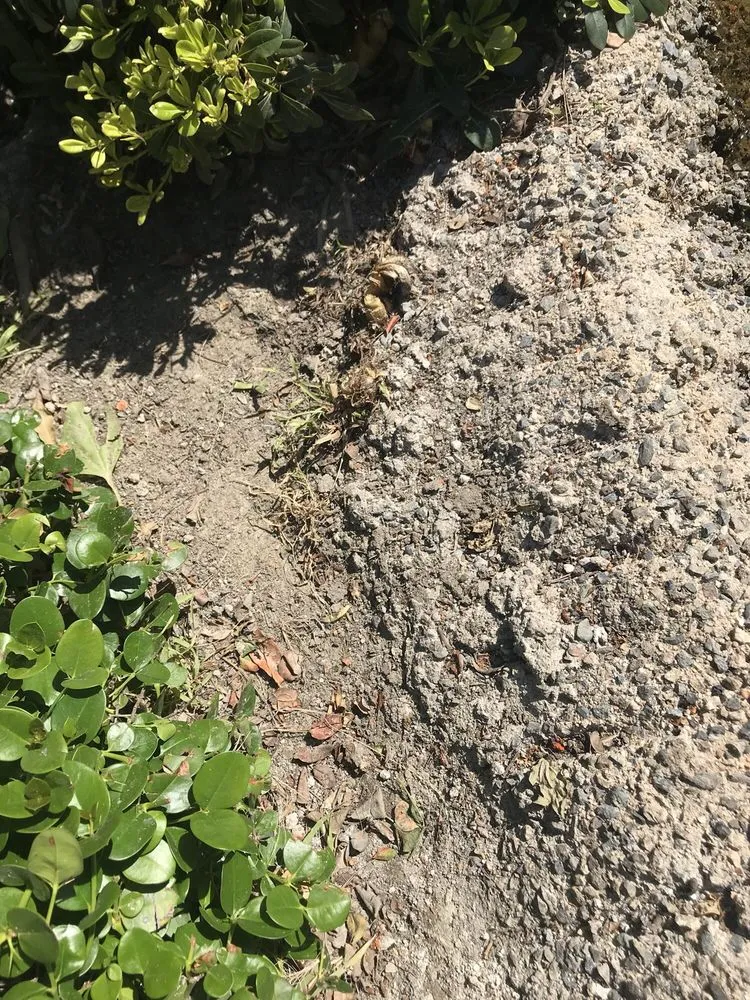 Local landscaping services in Orange, CA by Villa Park Landscape