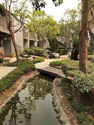 Expert yard maintenance in Orange, CA - Villa Park Landscape