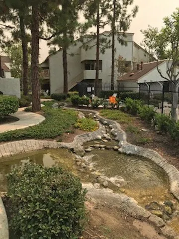 Custom landscape installation in Orange, CA by Villa Park Landscape