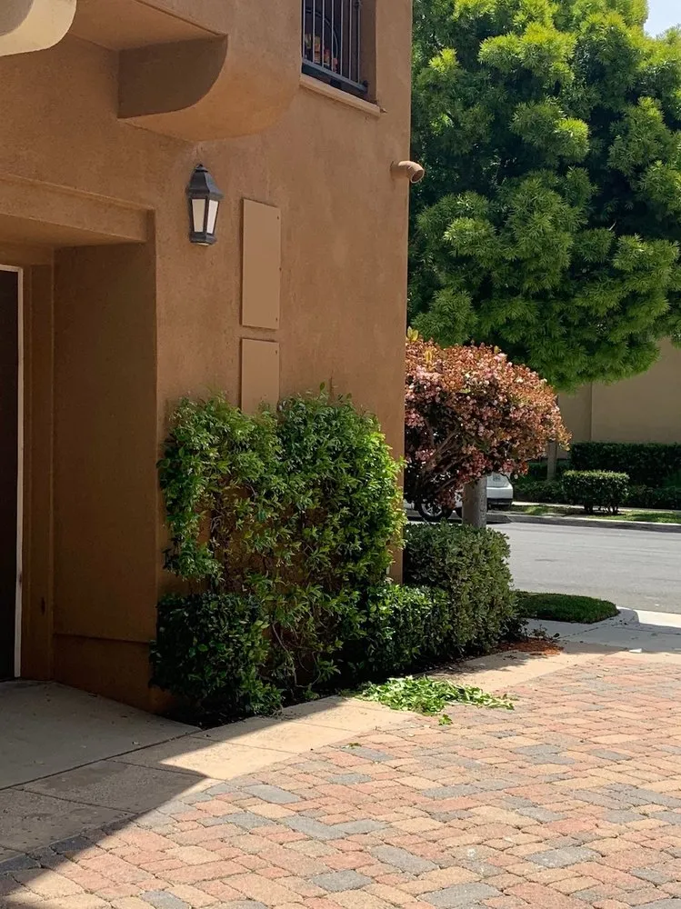 Local outdoor landscaping for beautiful yards in Orange, CA by Villa Park Landscape