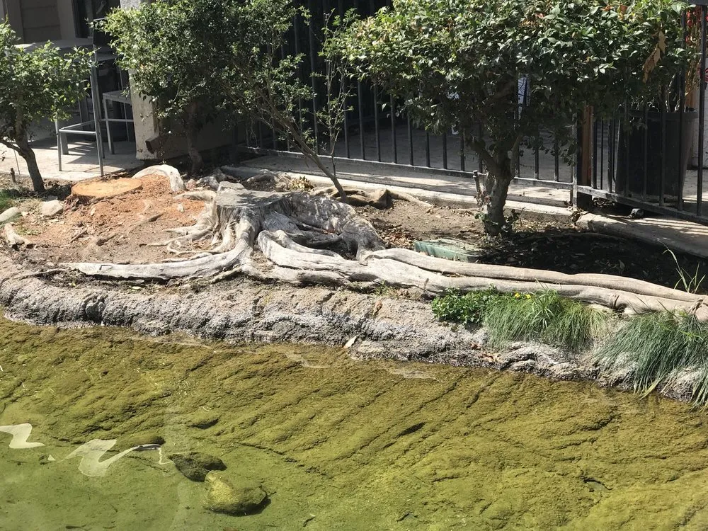 Affordable lawn mowing service in Orange, CA - Villa Park Landscape