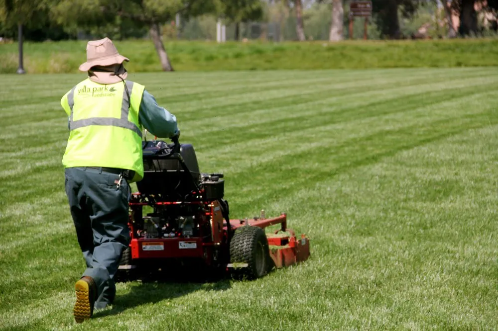 Professional landscaping services in Orange, CA by Villa Park Landscape