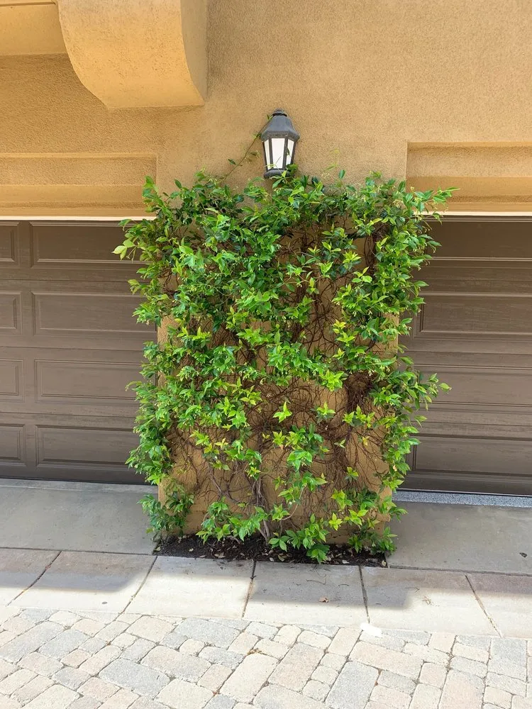 Custom landscape installation in Orange, CA by Villa Park Landscape