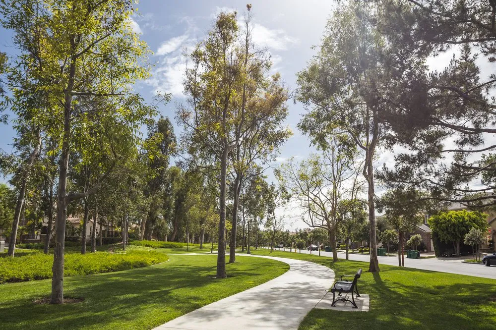 Custom yard cleanup service for residential properties in Orange, CA by Villa Park Landscape