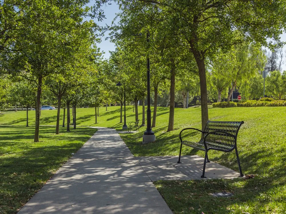 Reliable yard maintenance in Orange, CA by Villa Park Landscape