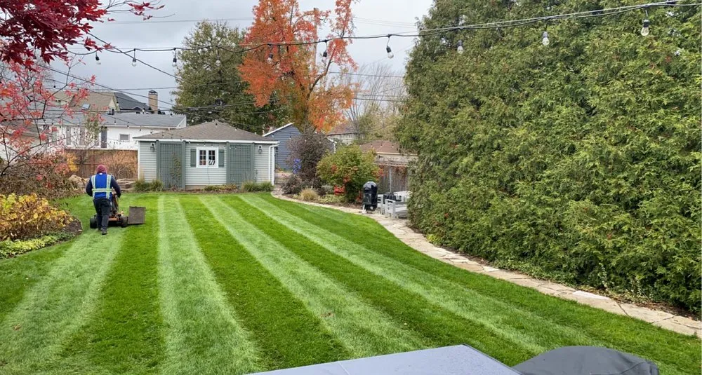 Custom yard cleanup service experts serving Chicago, IL - Villa Property Maintenance