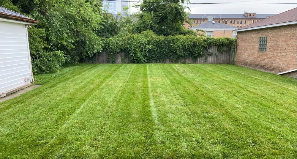 Affordable landscape installation near you in Chicago, IL by Villa Property Maintenance