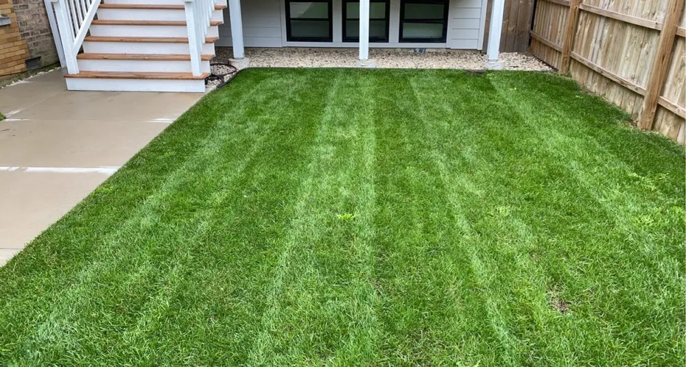 Top-rated yard cleanup service for homes in Chicago, IL by Villa Property Maintenance