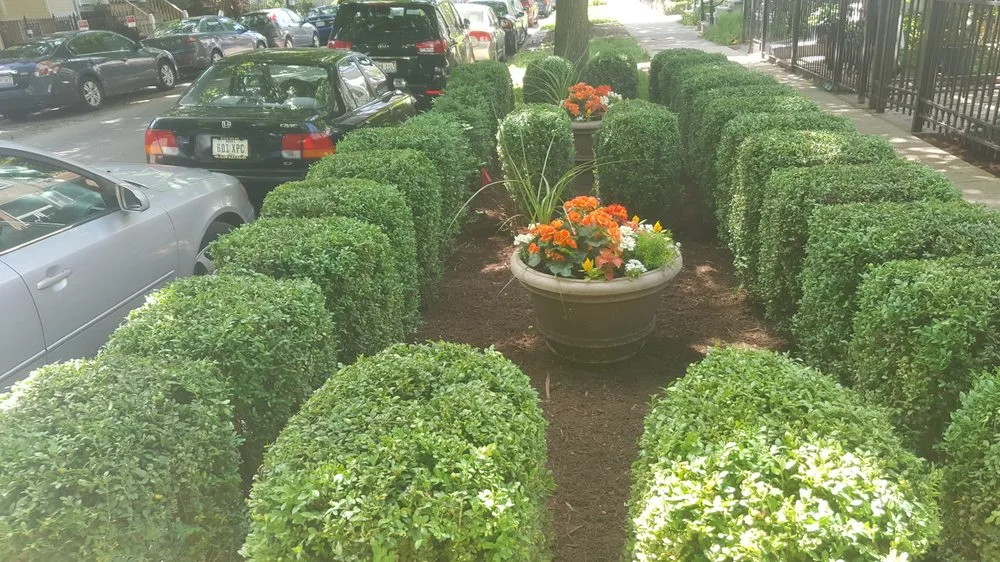 Reliable residential landscaping for year-round maintenance across Chicago, IL - Villa Property Maintenance