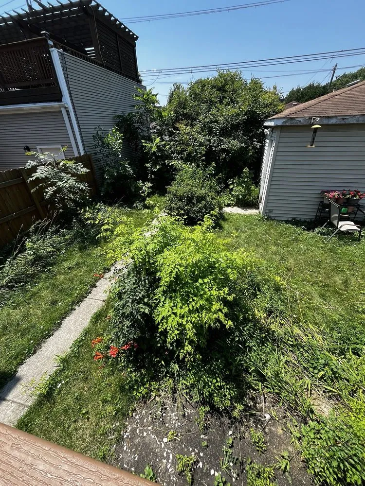 Top-rated lawn mowing service experts serving Chicago, IL - Villa Property Maintenance