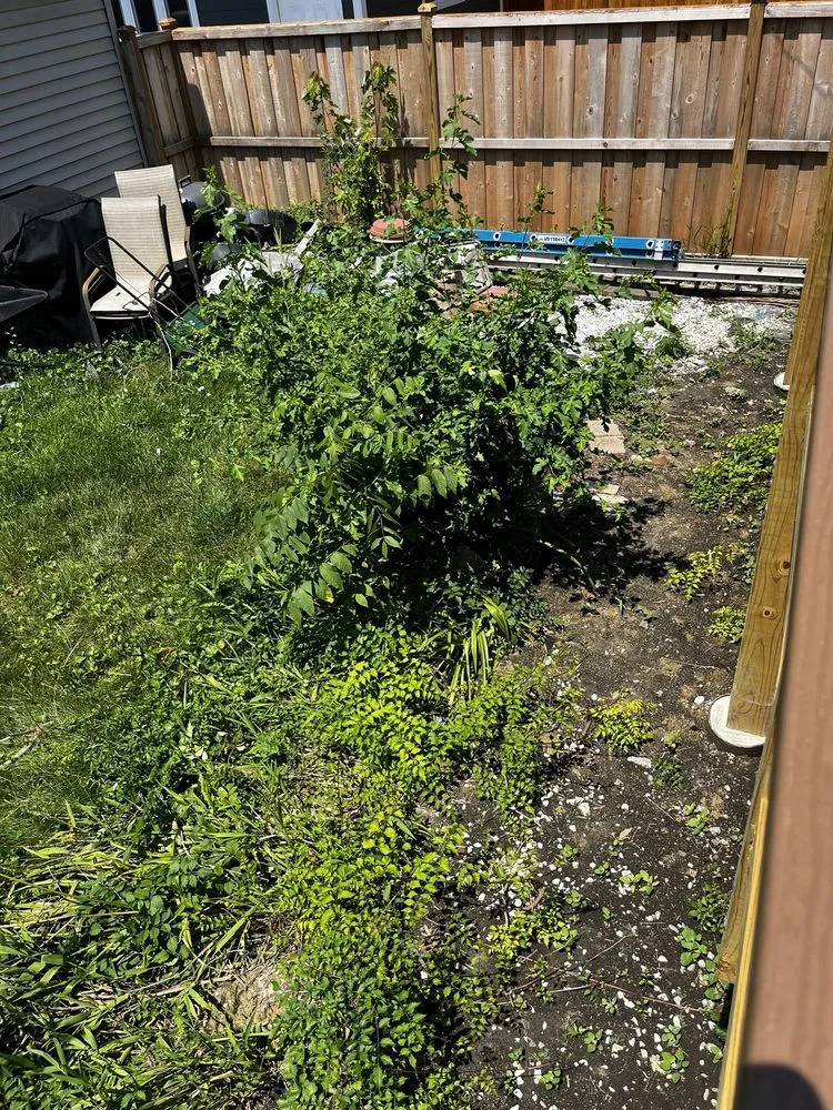 Trusted yard cleanup service for beautiful yards in Chicago, IL by Villa Property Maintenance