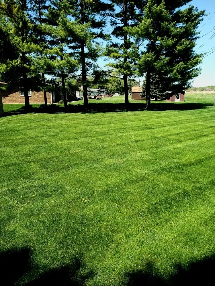 Custom garden landscaping in Joliet, IL by Villa Scapes