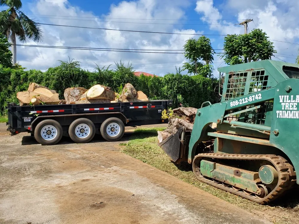 Expert landscaping services near you in Kapaa, HI by Villa Tree Trimming