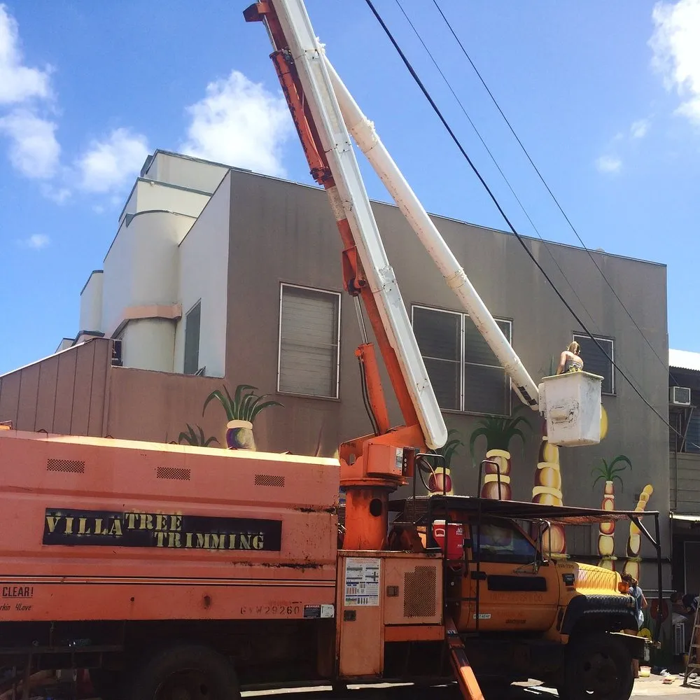 Reliable landscape design in Kapaa, HI - Villa Tree Trimming